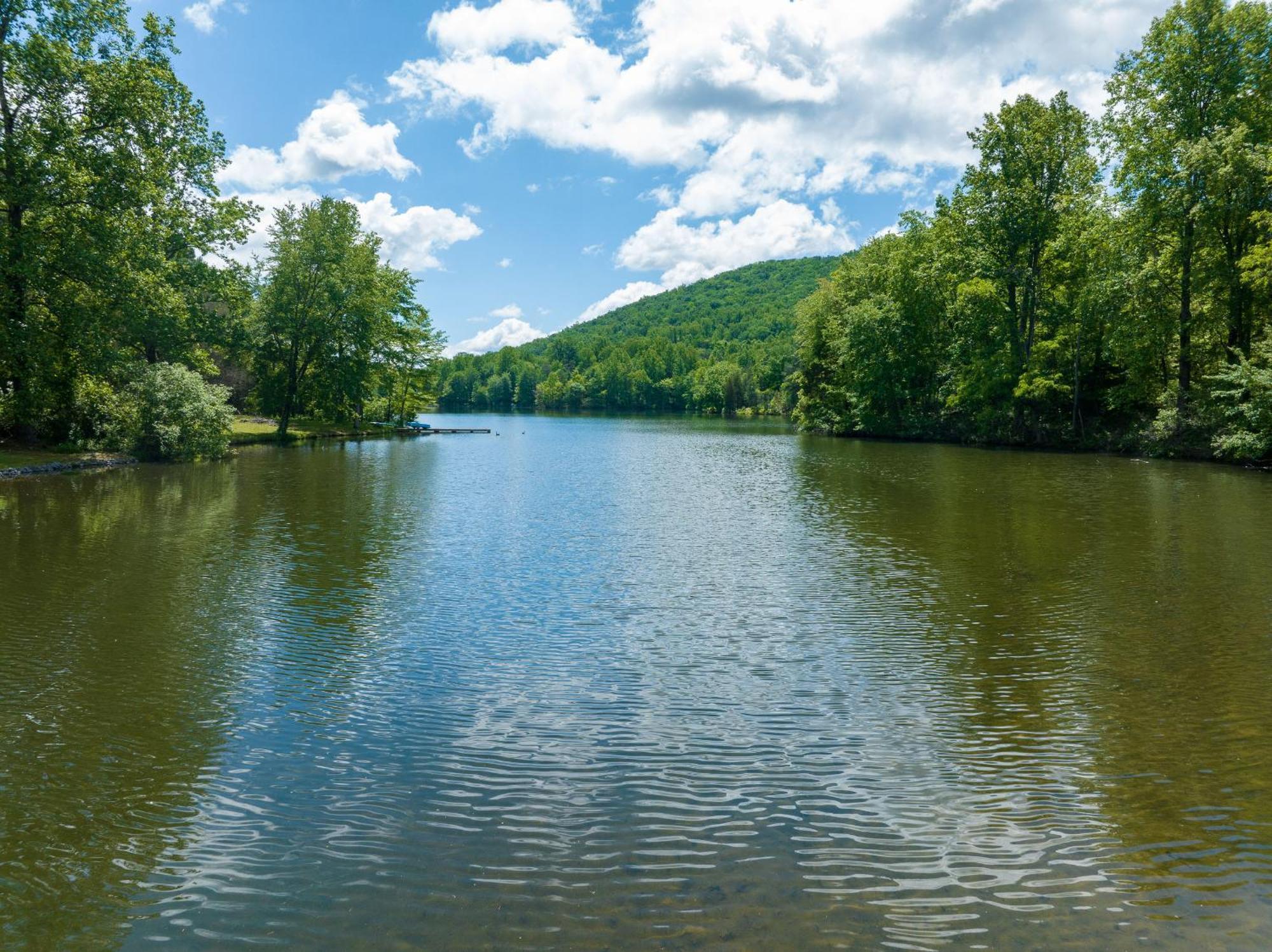 Waterfront Cabin 20 Mins To National Park & Massanutten! Stanardsville Екстер'єр фото