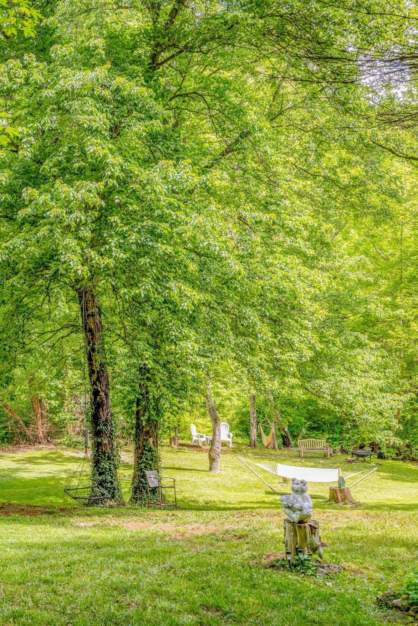 Waterfront Cabin 20 Mins To National Park & Massanutten! Stanardsville Екстер'єр фото